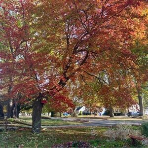 Meet your Posher, Olga